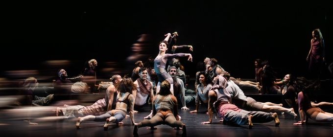 Review: A Thrilling BLACK SWAN at American Repertory Theater