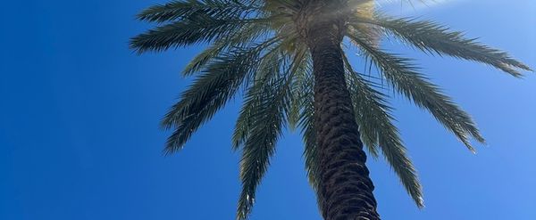 Student Blog: A Work in Progress