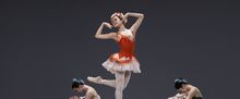 Ballet Central Will Embark on 2026 Tour