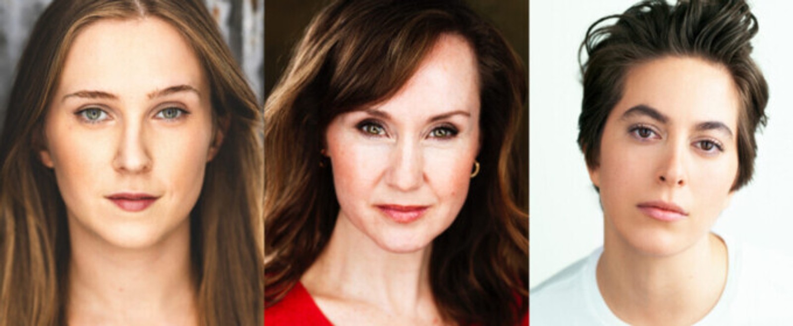 STORM STILL, Reimagined KING LEAR to be Presented at Bridge Street Theatre