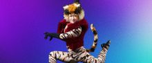 CATS To Close Berkeley Playhouse 2025–26 Season At Julia Morgan Theater