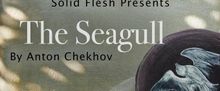 THE SEAGULL to Get Site-Specific Staging From SOLID FLESH in Brooklyn
