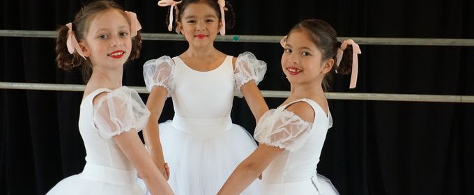 North Shore Civic Ballet Opens Spring Online Auction
