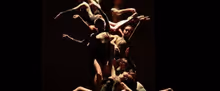 Dimensions Dance Theatre Of Miami Reveals 2026–2027 Season