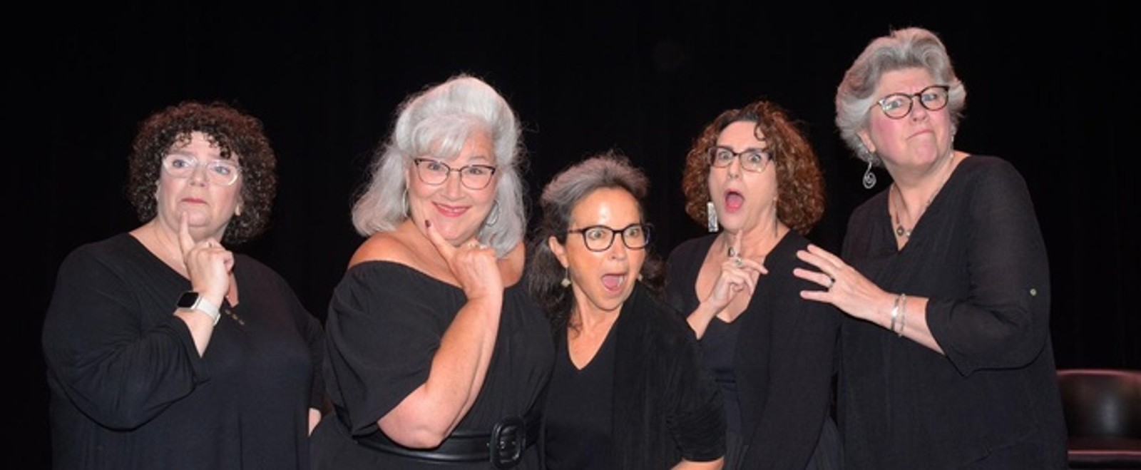 CONTROL TOP to Bring New Play by Carole Vasta Folley to Lost Nation Theater