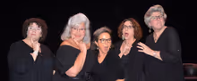 CONTROL TOP to Bring New Play by Carole Vasta Folley to Lost Nation Theater