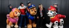 PAW PATROL LIVE! RACE TO THE RESCUE Unveils Australian Cast for 10th Anniversary Tour