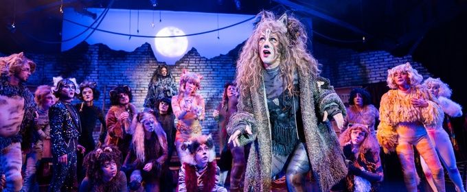 Photos: CATS At Berkeley Playhouse