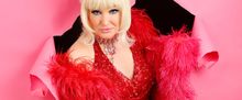 Mr Pussy to Return to Cork for Special Night at The Everyman