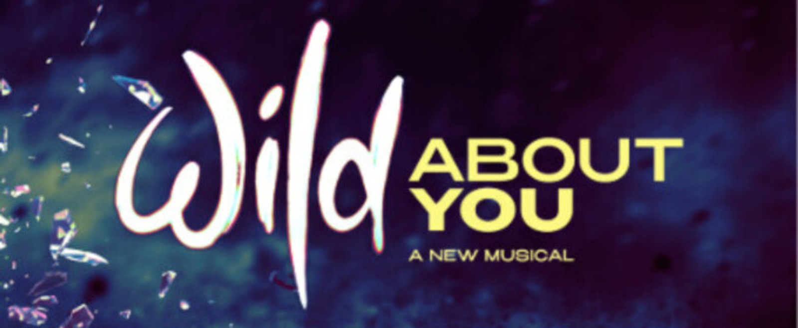 WILD ABOUT YOU to Open at Charing Cross Theatre in January 2027