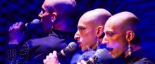 TEAM UNICORN Music to Debut at Joe's Pub With Truth Future Bachman