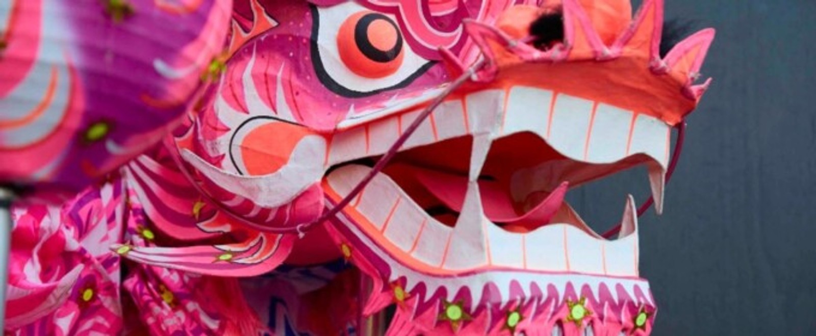 Melbourne Symphony Orchestra Will Perform Chinese New Year Concert