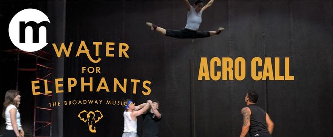 Video: Watch the Acro Call for WATER FOR ELEPHANTS in Toronto