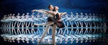 The Rose & Alfred Miniaci Performing Arts Center Announces 2026/2027 Season 