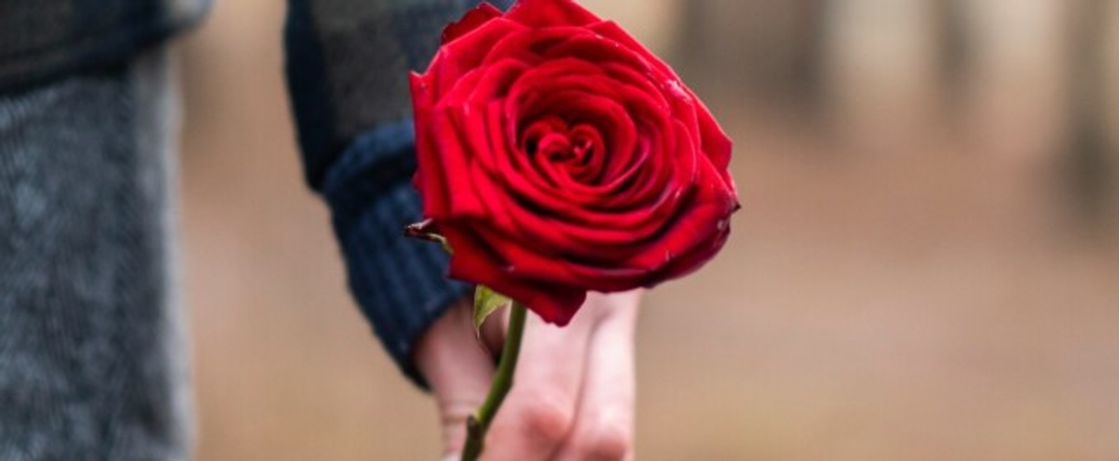 ROMEO AND JULIET to Open Madison Shakespeare Company's Third Season