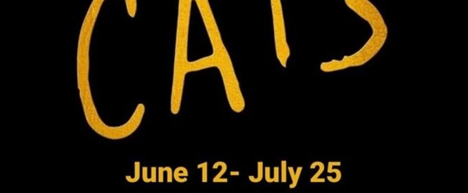 Review: CATS at Arizona Broadway Theatre
