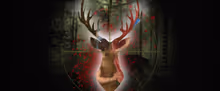 STAG NIGHT to Make Debut at London's Canal Café Theatre