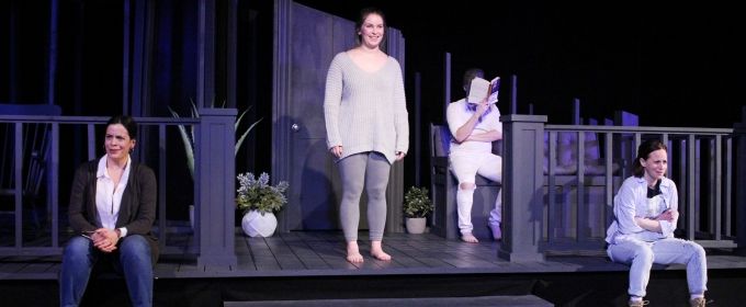Photo Flash: Chicago Premiere of PLANO at First Floor Theater Photos