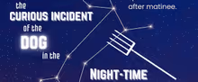 THE CURIOUS INCIDENT OF THE DOG IN THE NIGHT-TIME to Host Autism Panel at Eastbound T