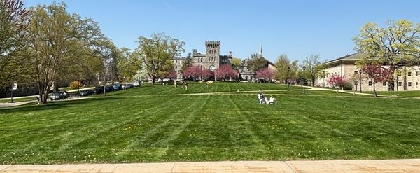 Student Blog: Manhattanville University's Theatre Program: An Interview with Vincent Mraz