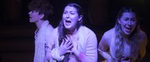 IN THE GREEN A New Musical By Grace McLean At Ophelia's Jump