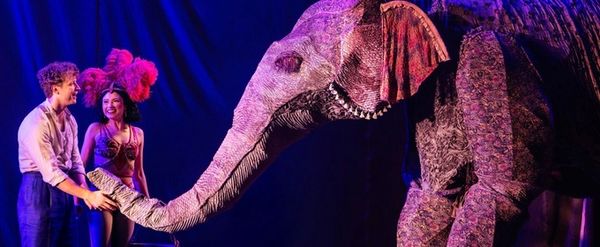 Review: WATER FOR ELEPHANTS at Shea’s Buffalo Theatre