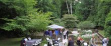 Door Shakespeare to Offer Pre-Show Picnics With Summer Productions