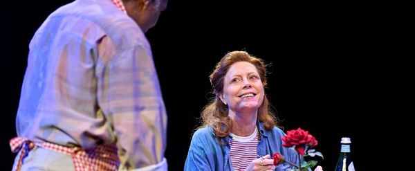 Review: MARY PAGE MARLOWE, Starring Susan Sarandon and Andrea Riseborough