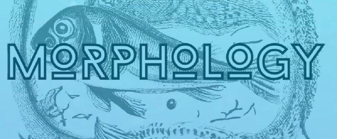 MORPHOLOGY to Make New England Premiere at Boston Playwrights Theatre
