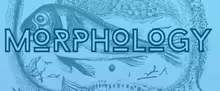 MORPHOLOGY to Make New England Premiere at Boston Playwrights Theatre