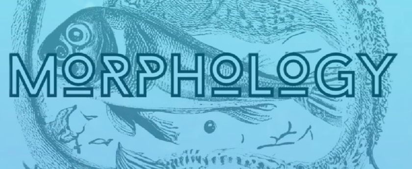 MORPHOLOGY to Make New England Premiere at Boston Playwrights Theatre Photo