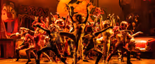 First Look at CATS THE MUSICAL at CM Performing Arts Center