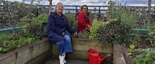 Warrington Sky Garden Receives £20k National Lottery Boost for Events and Wellbeing