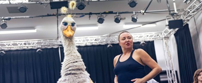 Photos: In Rehearsal For Hackney Empire's Christmas Pantomime MOTHER GOOSE Photos