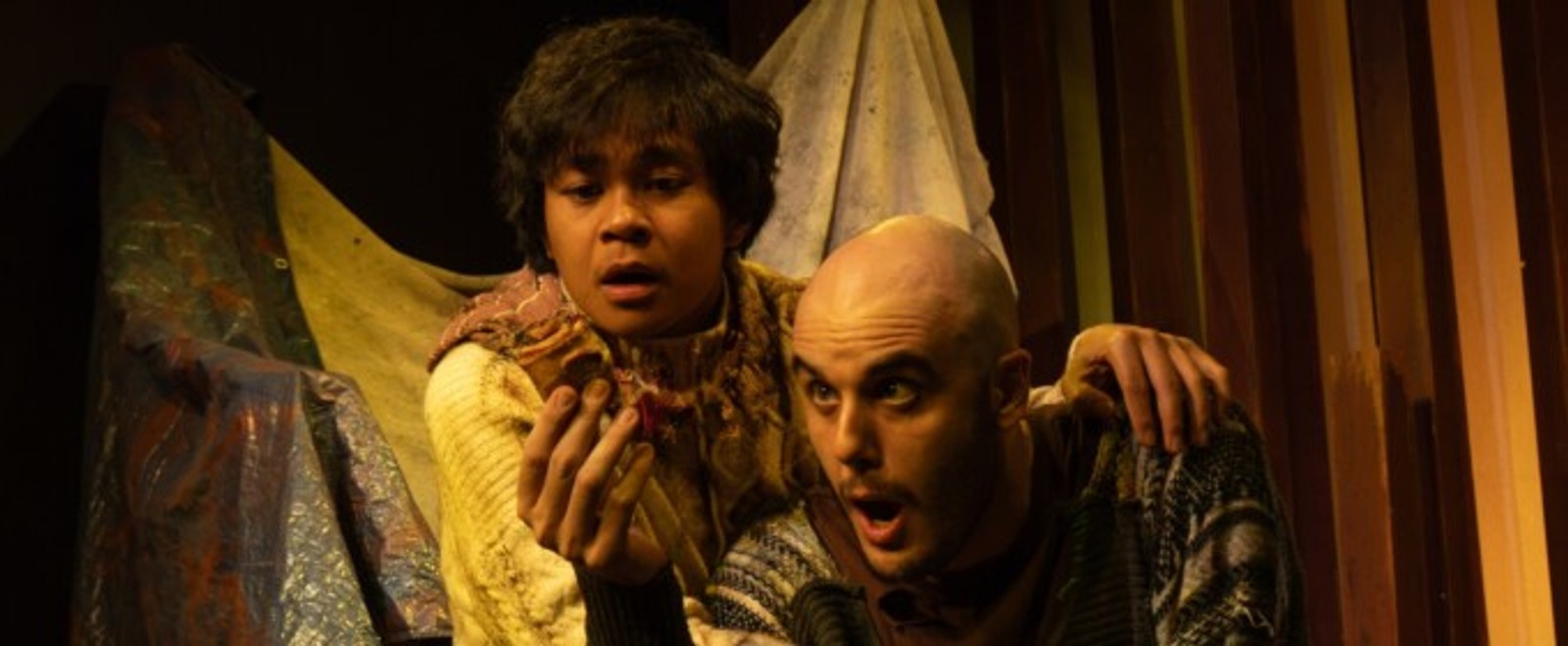 Review: Tin Drum Theatre's A DARK WOOD at Greenhouse Theater Center