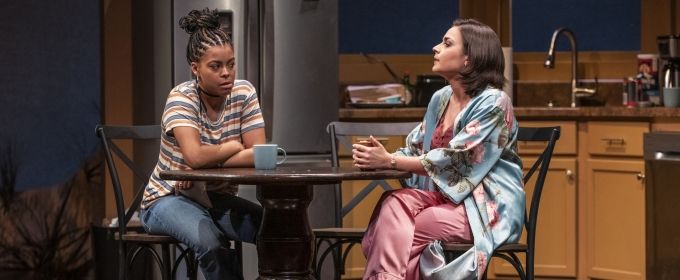 Photo Flash: Writer's Theatre Presents Lydia Diamond's STICK FLY Photos