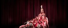 GRAVITY AND OTHER MYTHS to Join Flying Fruit Fly Circus in Albury-Wodonga Residency