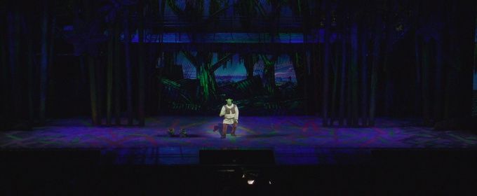 Video: Go Inside Opening Night of SHREK at The Muny