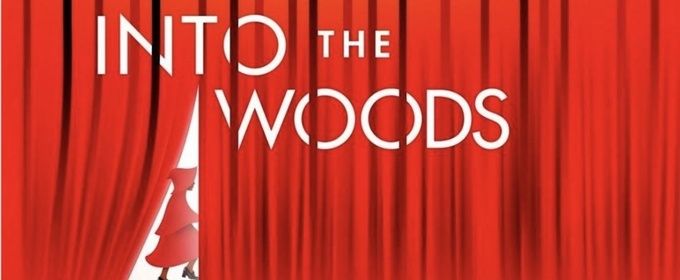 Student Blog: Moments In The Woods