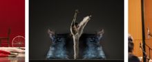 Harris Theater Reveals 2026-27 Season