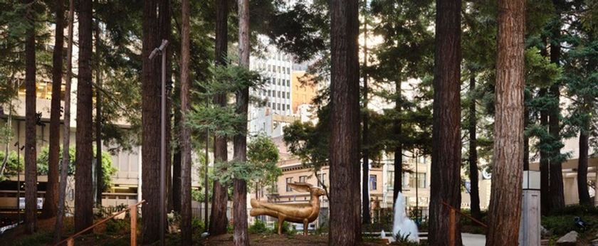 OPERA DAY IN THE BAY to Unite 13 Companies for Free Outdoor Concert Photo