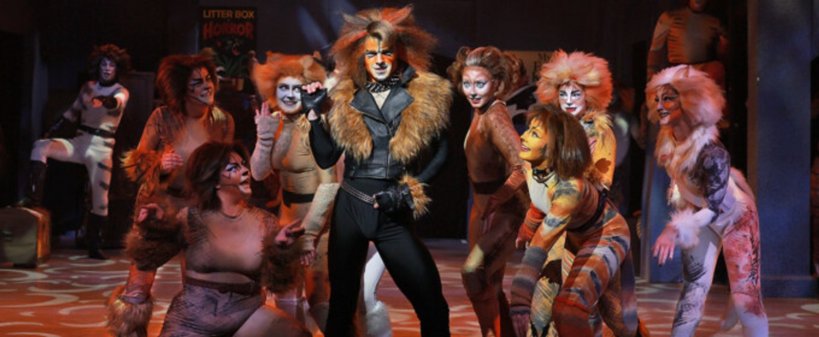 Photos: CATS Opens at Beef & Boards Dinner Theatre