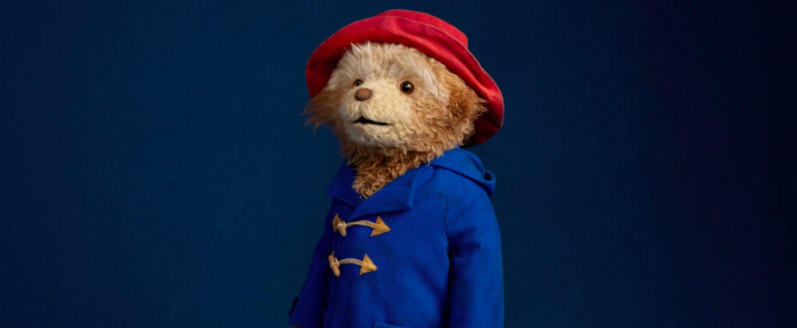 PADDINGTON THE MUSICAL Will Open at Sydney's Capitol Theatre in 2027