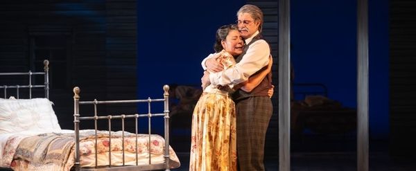 Review: DEATH OF A SALESMAN Opens at Edmonton's Citadel Theatre