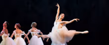 Interview: Shohei Iwahama of LES BALLETS TROCKADERO DE MONTE CARLO