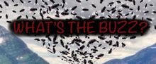 Midnight Snack Productions to Present Industry Reading of WHAT'S THE BUZZ?