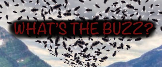 Midnight Snack Productions to Present Industry Reading of WHAT'S THE BUZZ?