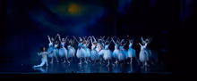 SWAN LAKE Highlights to Come to Stellenbosch With Cape Town City Ballet