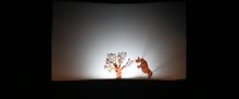 Turkish Shadow Theatre THE FOREST OF THE WITCH Will Come to The Puppet Co.