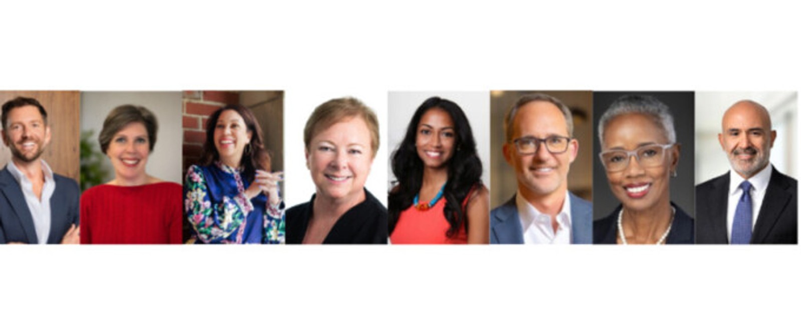 Detroit Public Theatre Names Peter Van Dyke Board Chair
